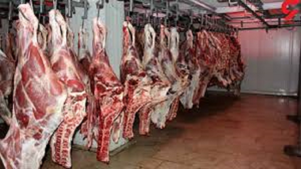آغاز توزیع گوشت گرم قرمز تنظیم بازار در البرز