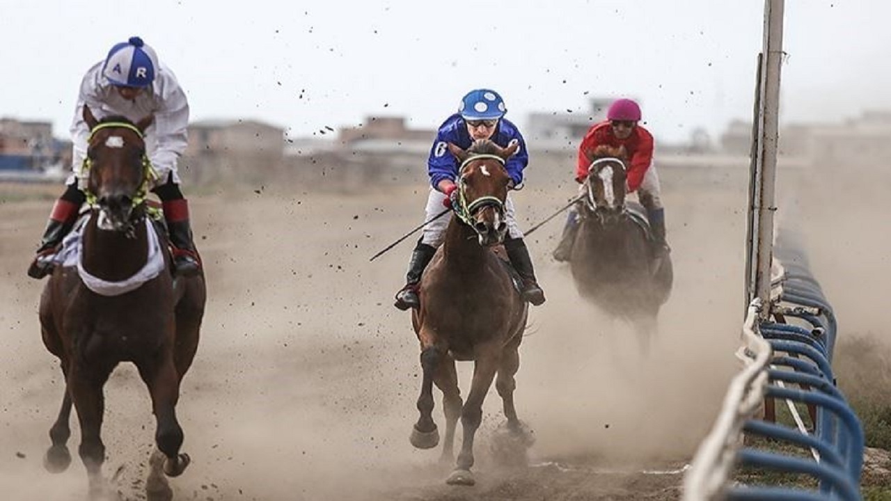 پایان مسابقات پرش با اسب استان یزد
