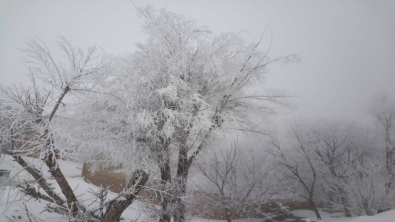 بارش برف و کولاک در روستای توآباد + فیلم