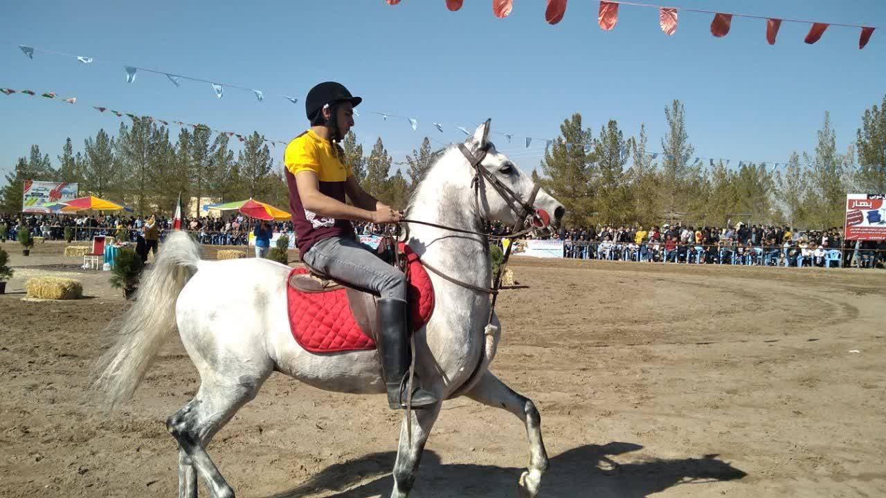 سواره اسب