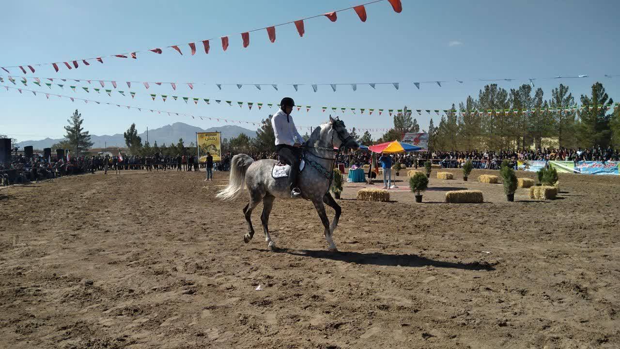 همایش اسب سواری