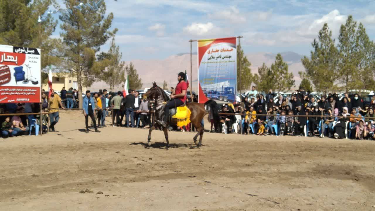 اسب دوانی