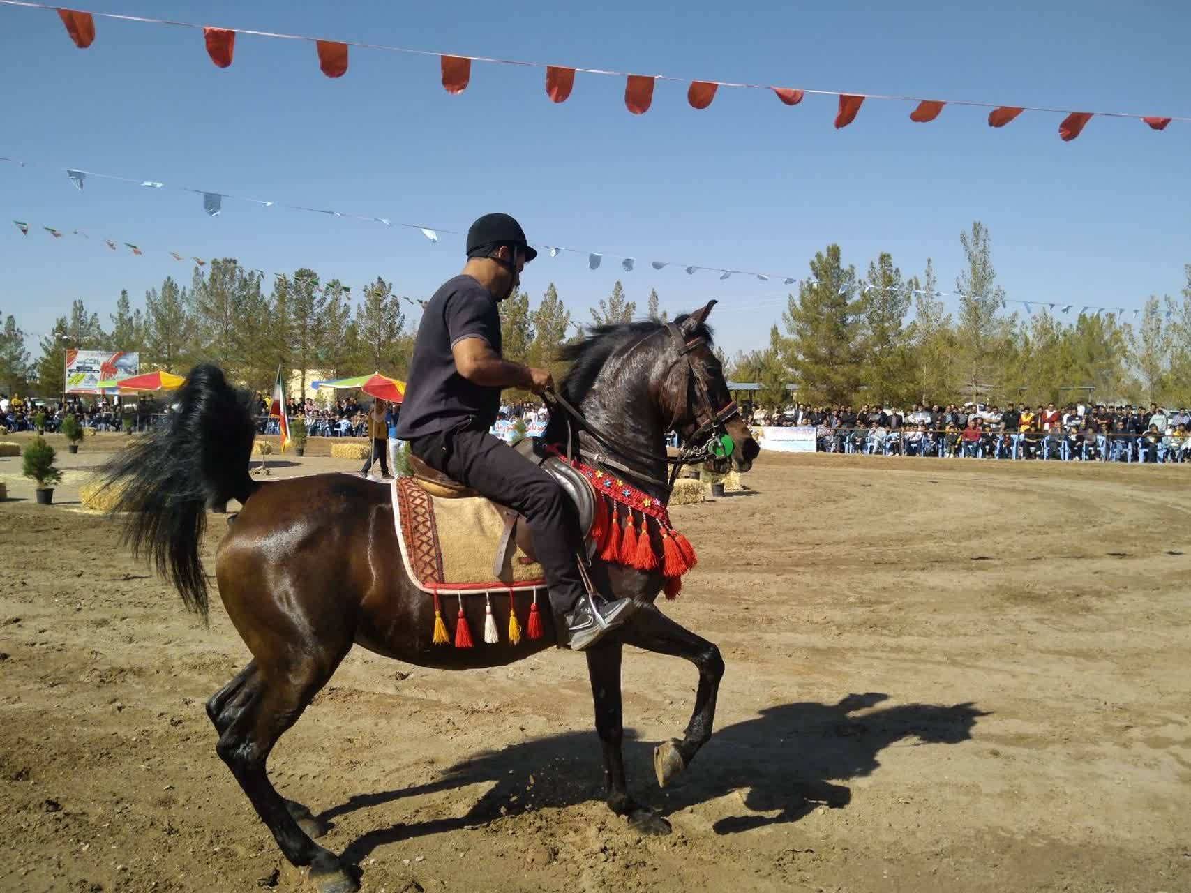 مسابقات اسب سواری