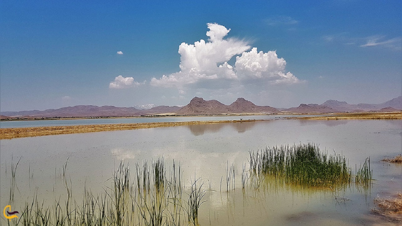 به دنبال فصل مشترک احیای تالاب آق‌گل هستیم
