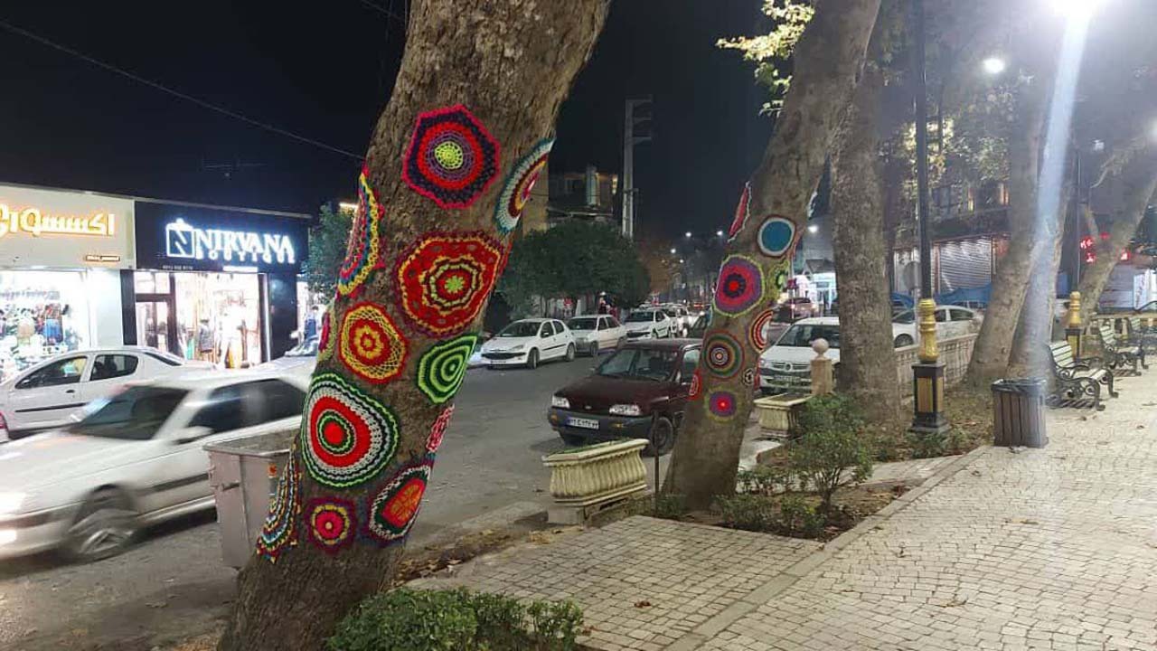 سرقت تن‌پوش‌های درختی در بابل + فیلم