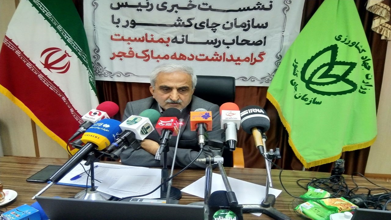 پرداخت ۹۵ درصد از مطالبات چایکاران شمال