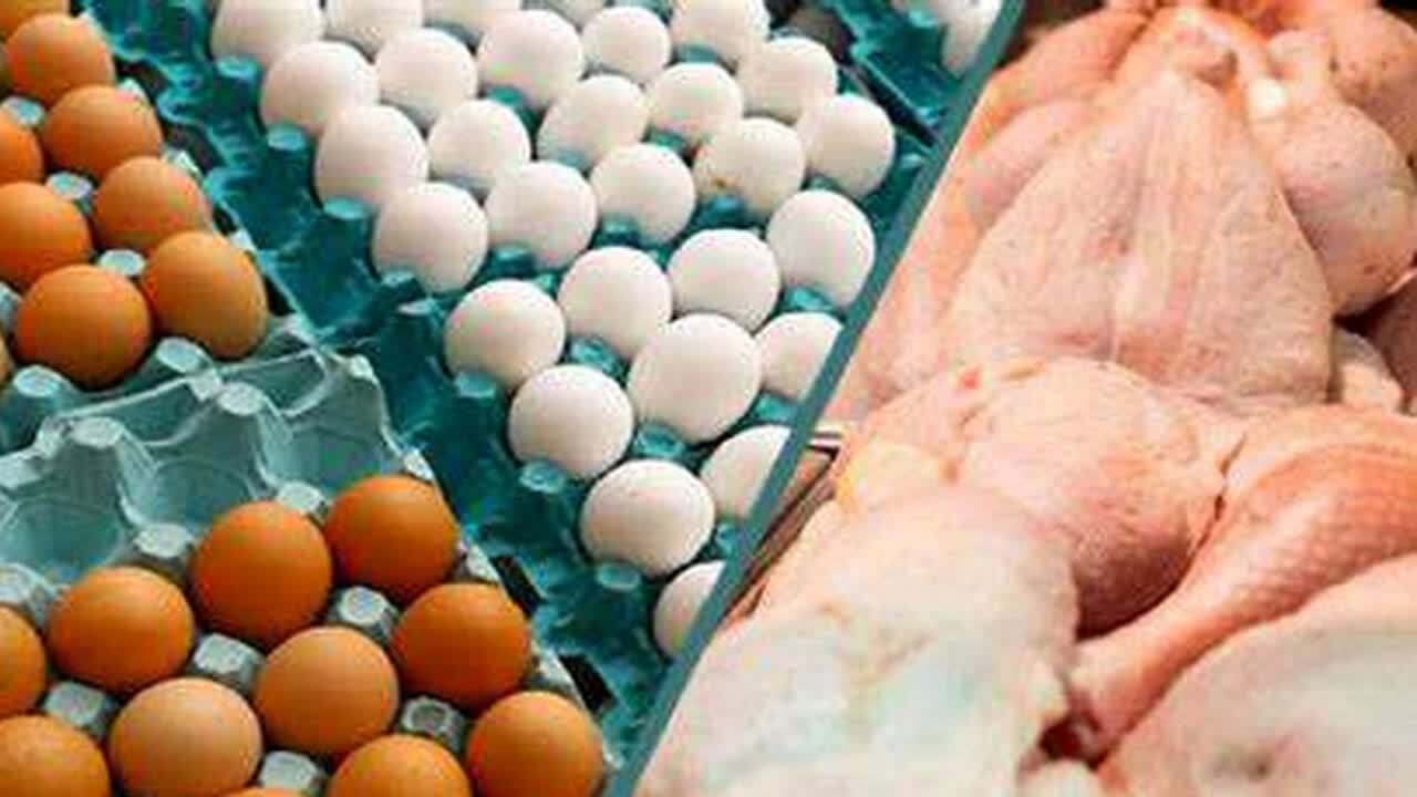 تولید مرغ، تخم مرغ و شیر مازاد نیاز اصفهان