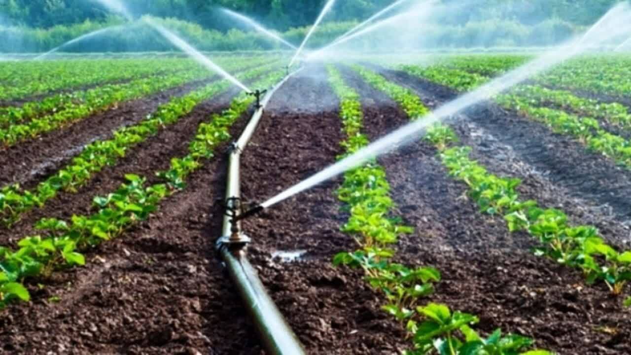 افزایش بهره وری آب در بخش کشاورزی اصفهان