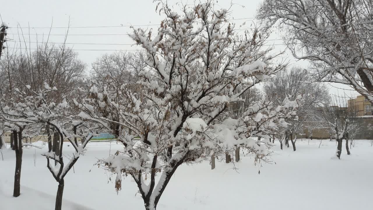 بارش برف جلوه زیبایی به مسجد و گلزار شهدای روستای تکه بخشید + فیلم