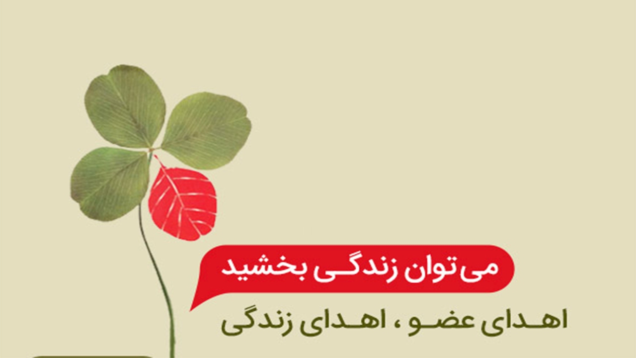 اهدای عضو، اهدای زندگی