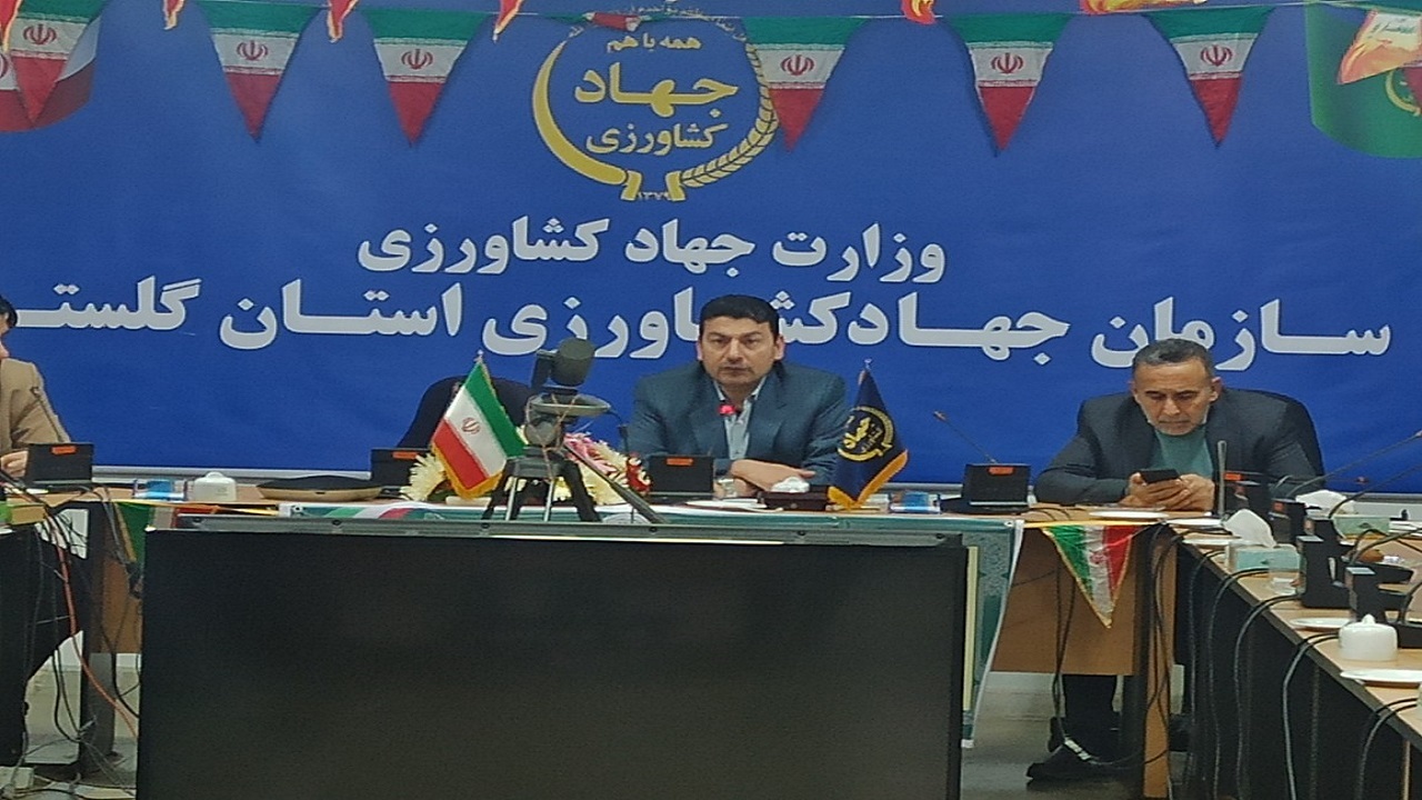 پرورش قراردادی ۶ هزار و ۲۰۰ راس دام در گلستان