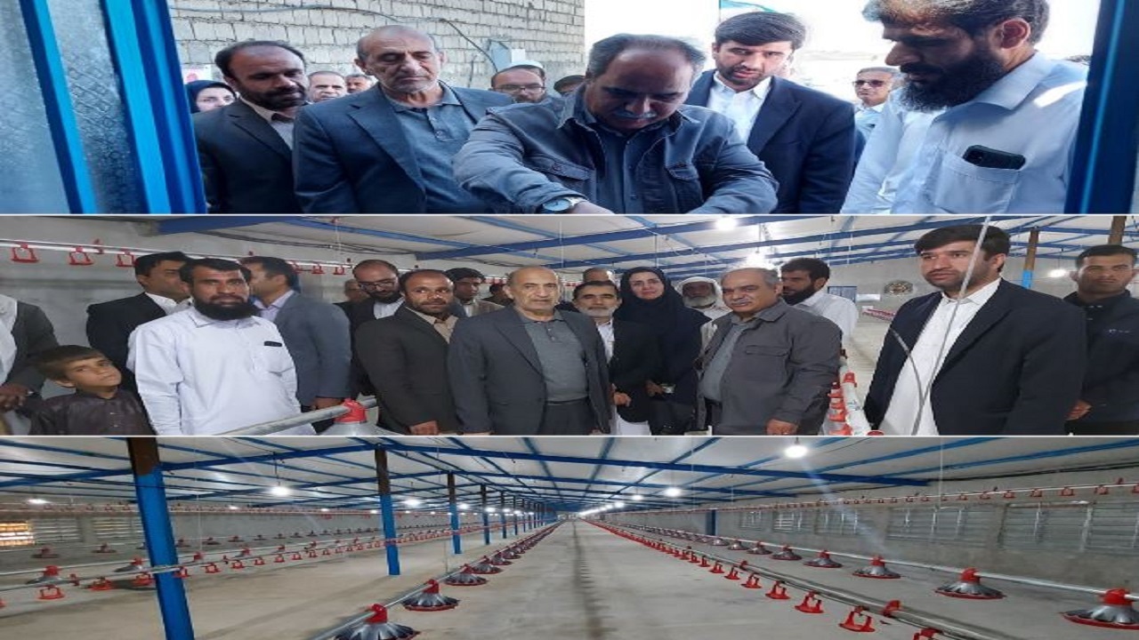 بهره‌برداری از ۲۱ طرح کشاورزی در مهرستان