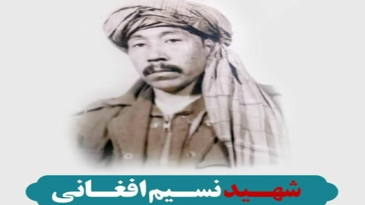عشق مردم افغانستان به امام خمینی(ره) مرز نمی‌شناسد + فیلم