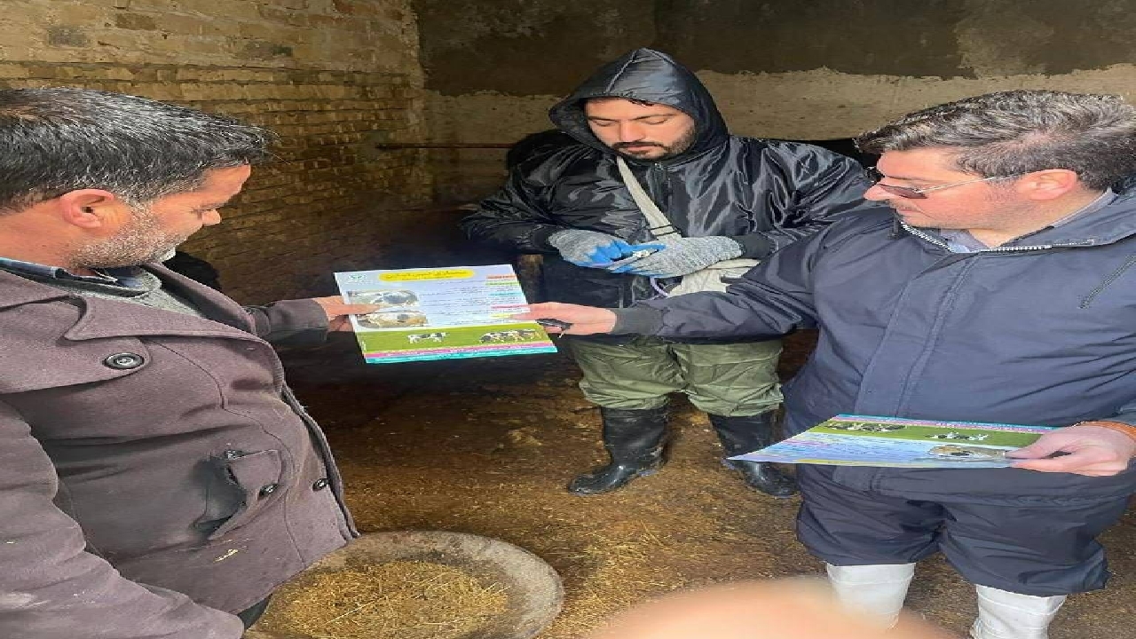 برگزاری اردوی جهادی دامپزشکی قزوین به مناسبت دهه فجر در تاکستان