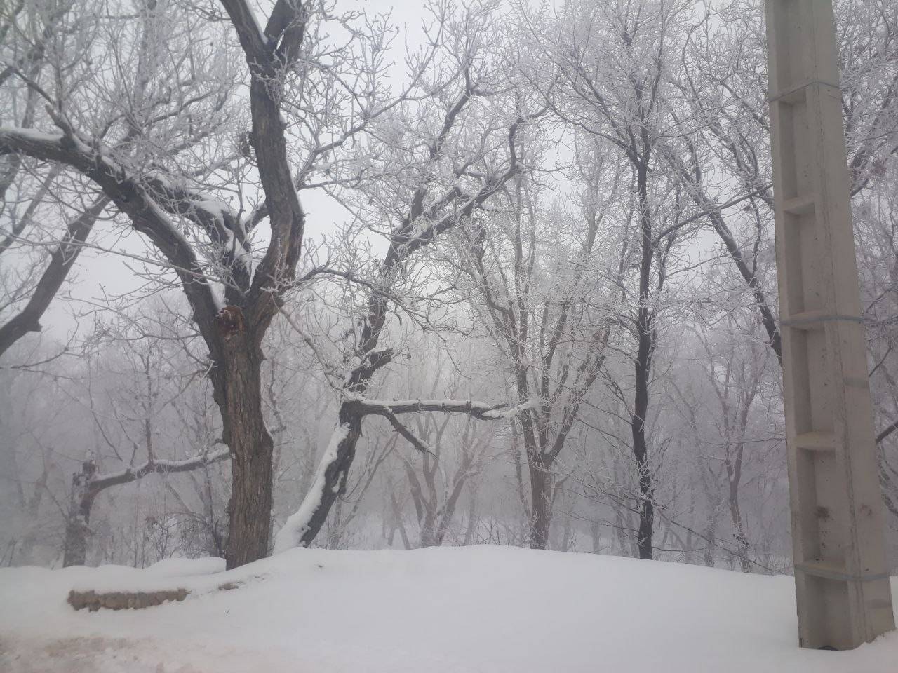 روستای توآباد