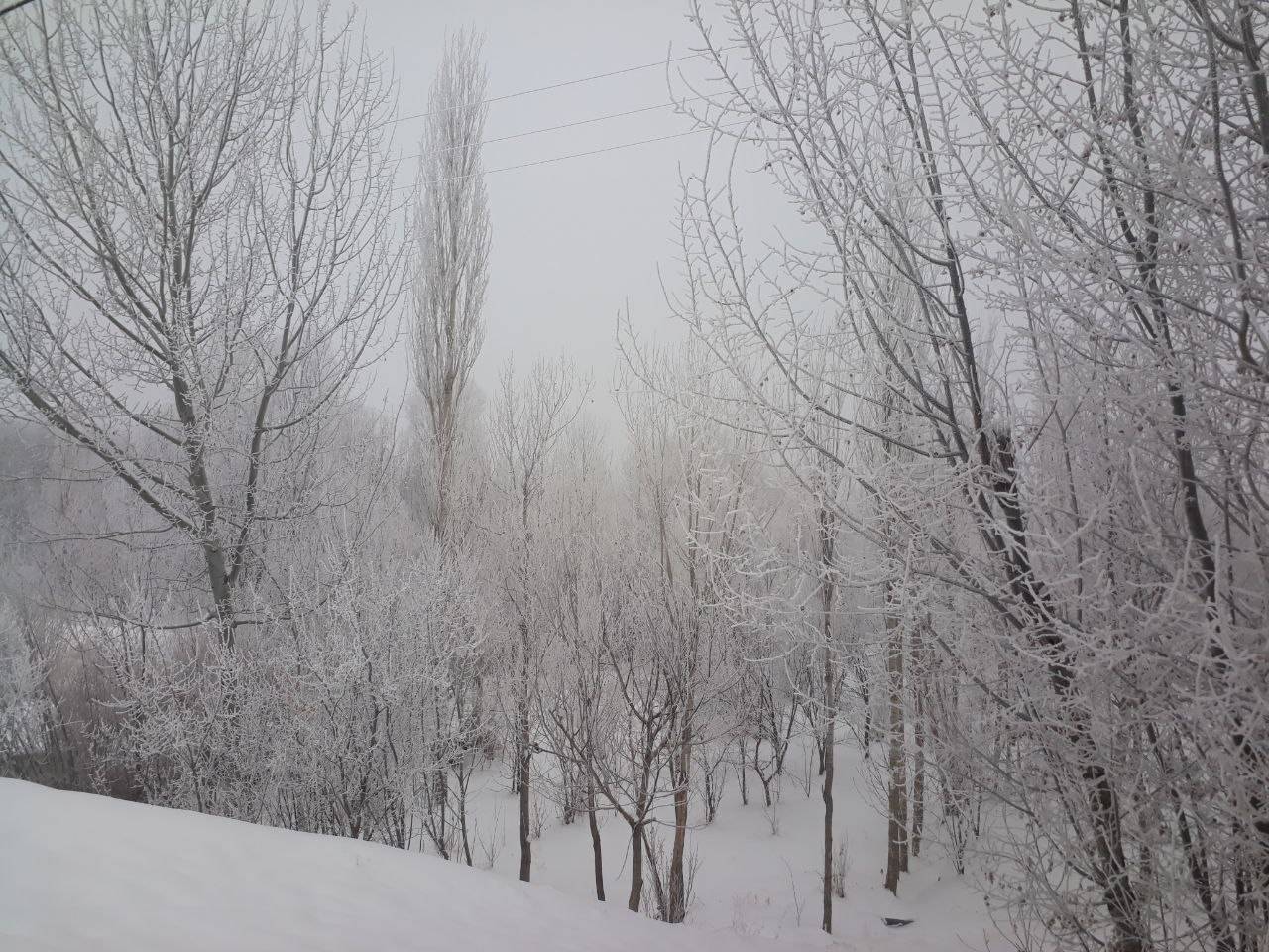 روستای توآباد