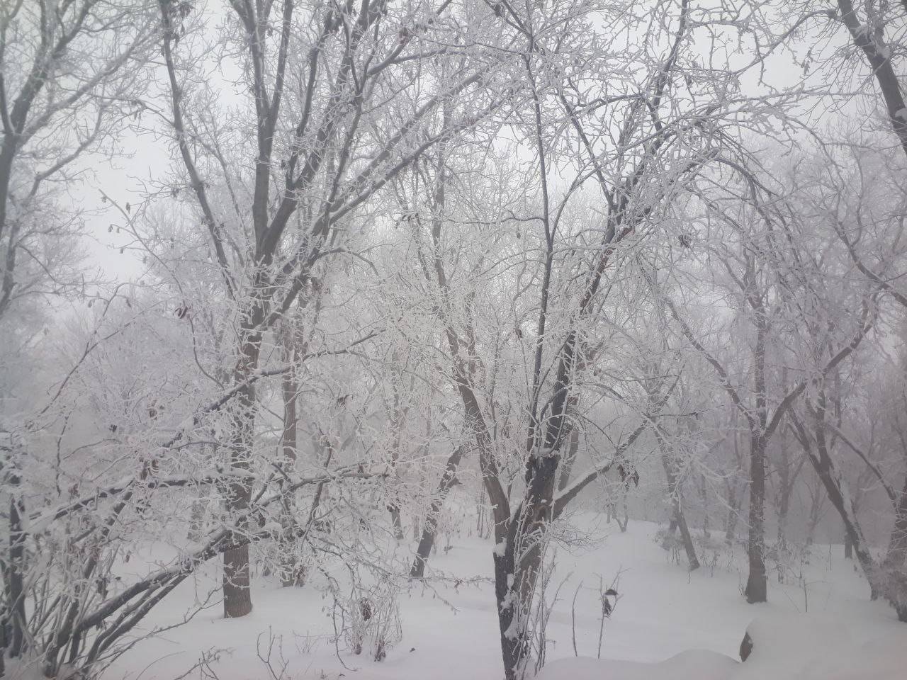 روستای توآباد