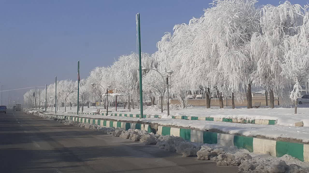 کنگاور