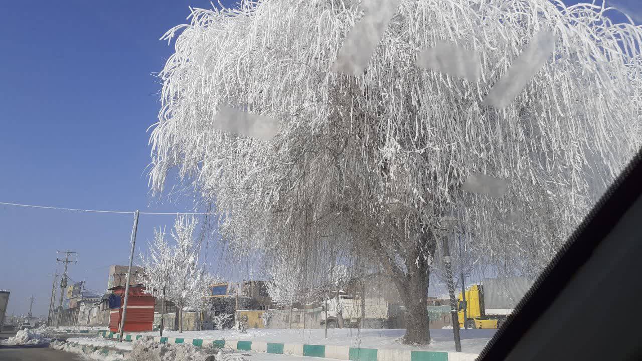 کنگاور