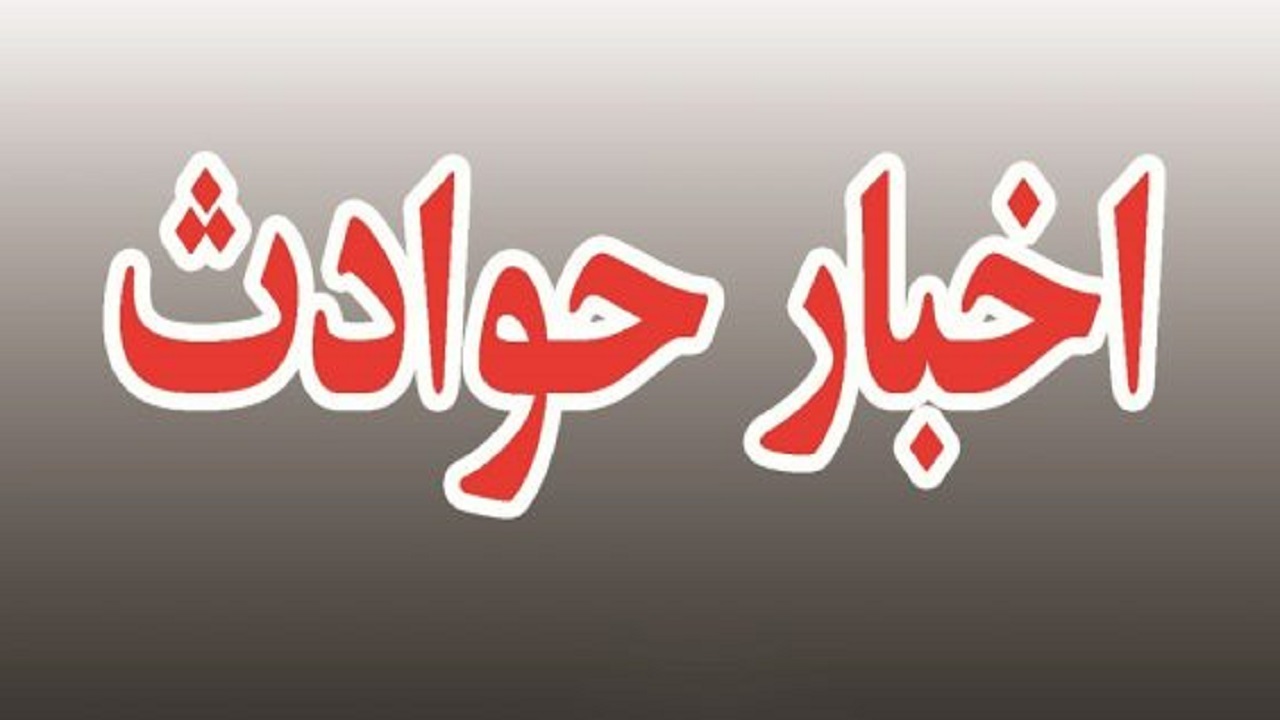 پرستار خانگی دزد از آب در آمد/ سارق به پیرزن ۹۱ ساله هم رحم نکرد