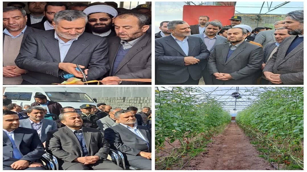 ۱۰ واحد گلخانه‌ای در شهرستان خوسف به بهره برداری رسید