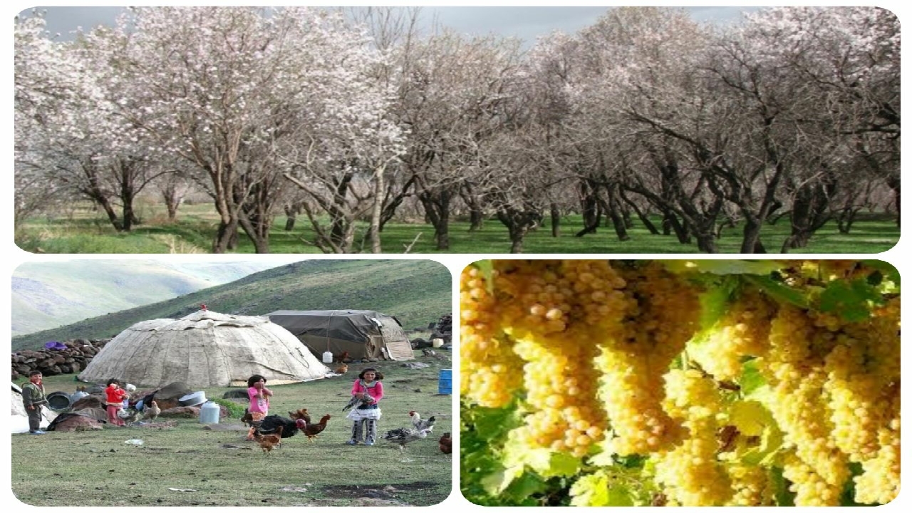 فرصت جذب سرمایه گذار برای چهار طرح گردشگری کشاورزی در استان قزوین