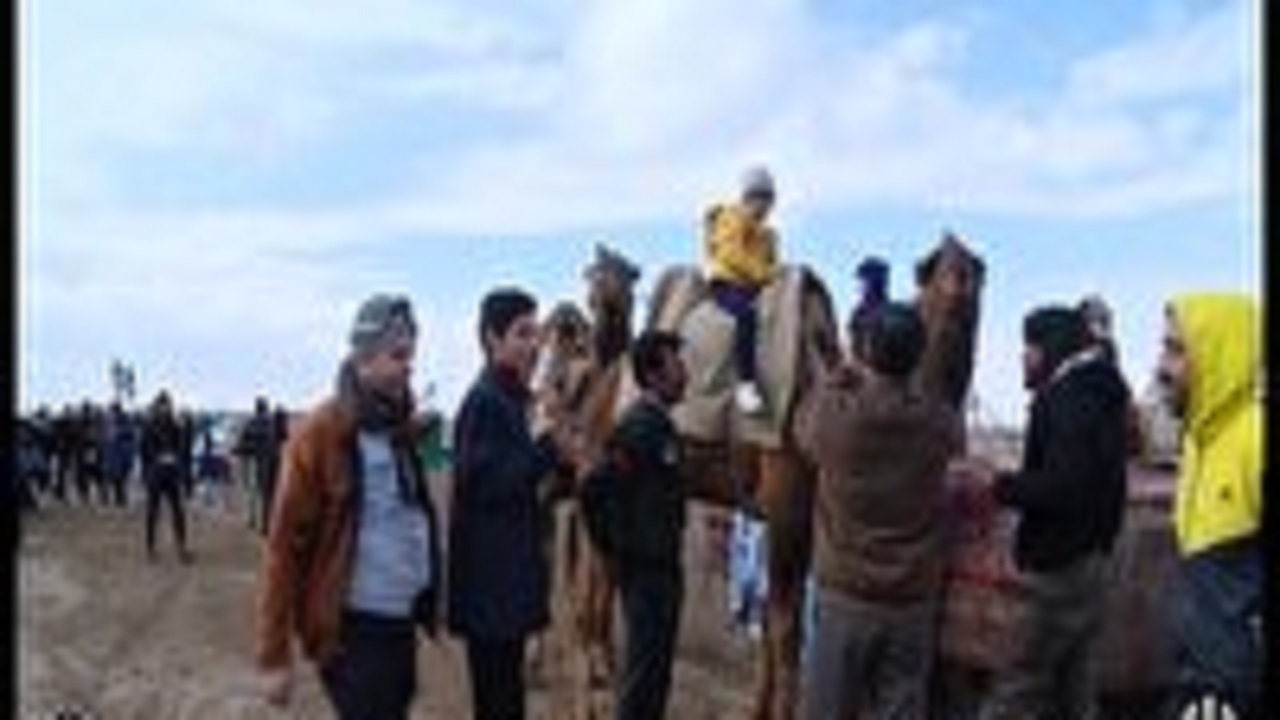 برگزاری جشنواره عشایری در قم