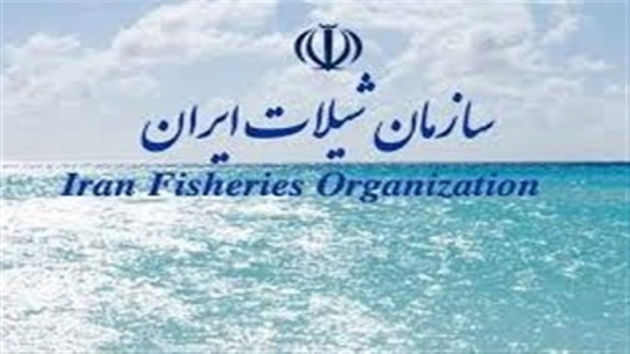 اعزام تیم‌هایی به ۲ کشور آفریقایی برای اجرای صید فراسرزمینی