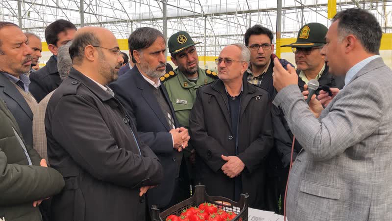 گلخانه هیدرو پونیک در شیروان افتتاح شد