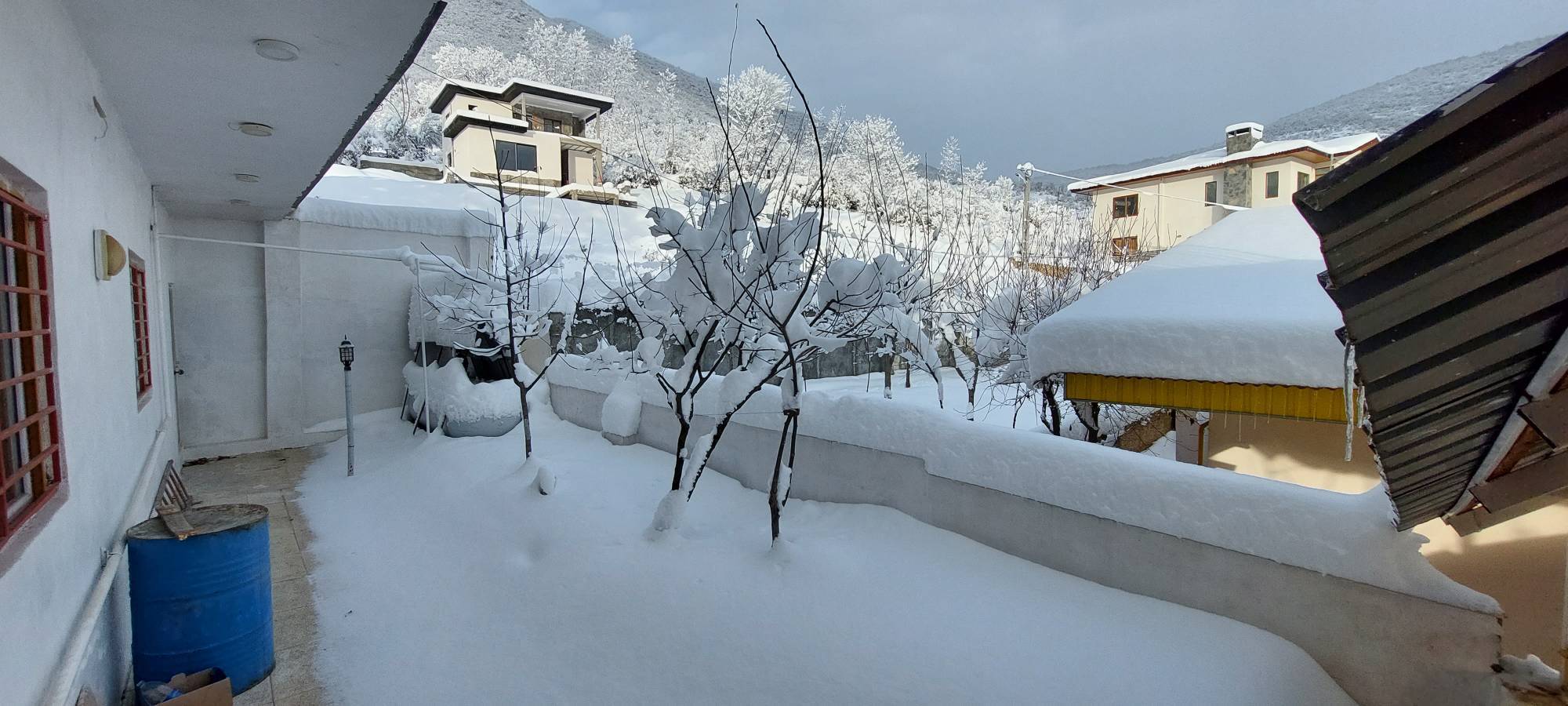 بارش برف زمستانی
