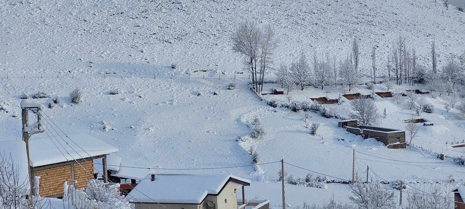 طبیعت سفید پوش