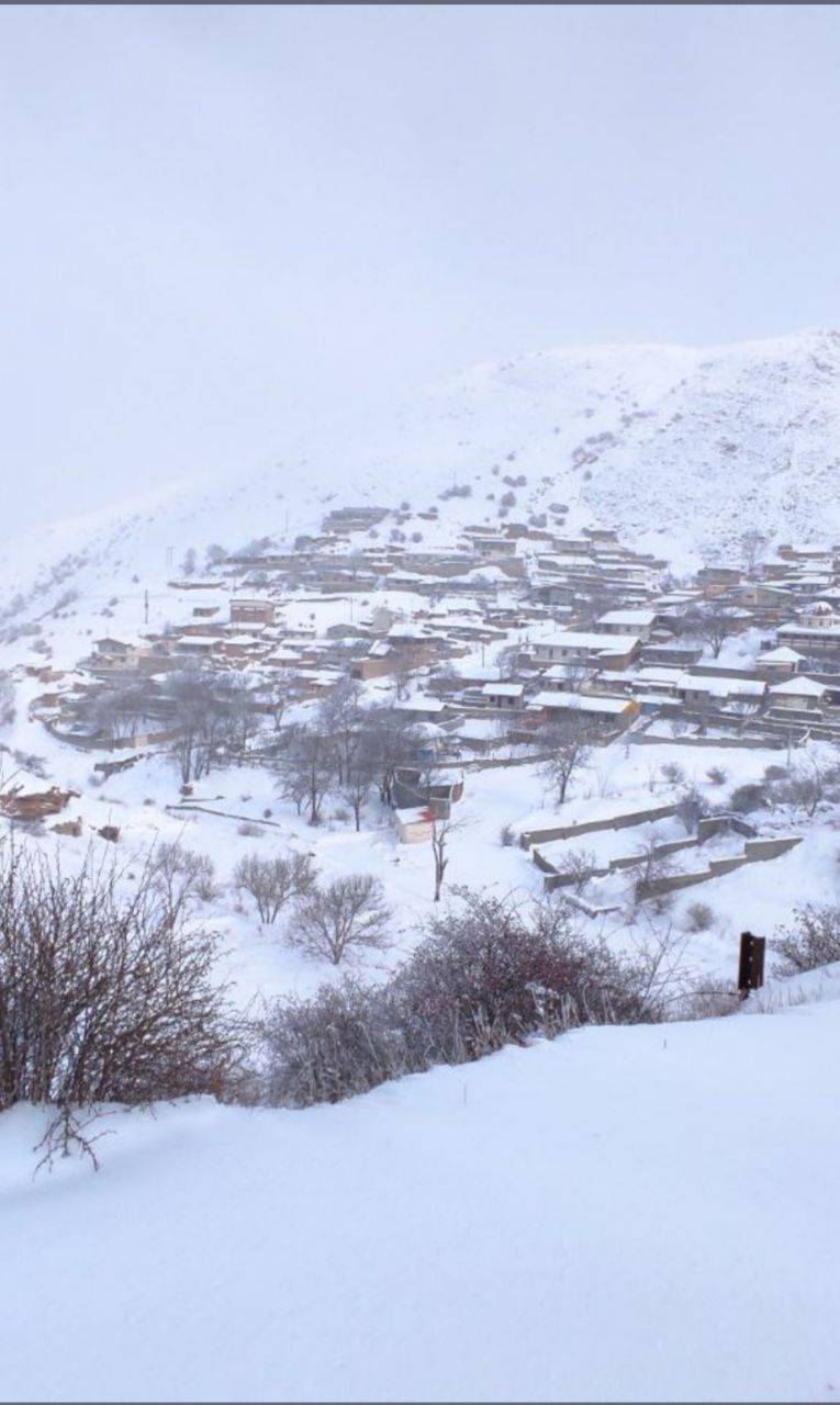 بارش برف در سوادکوه