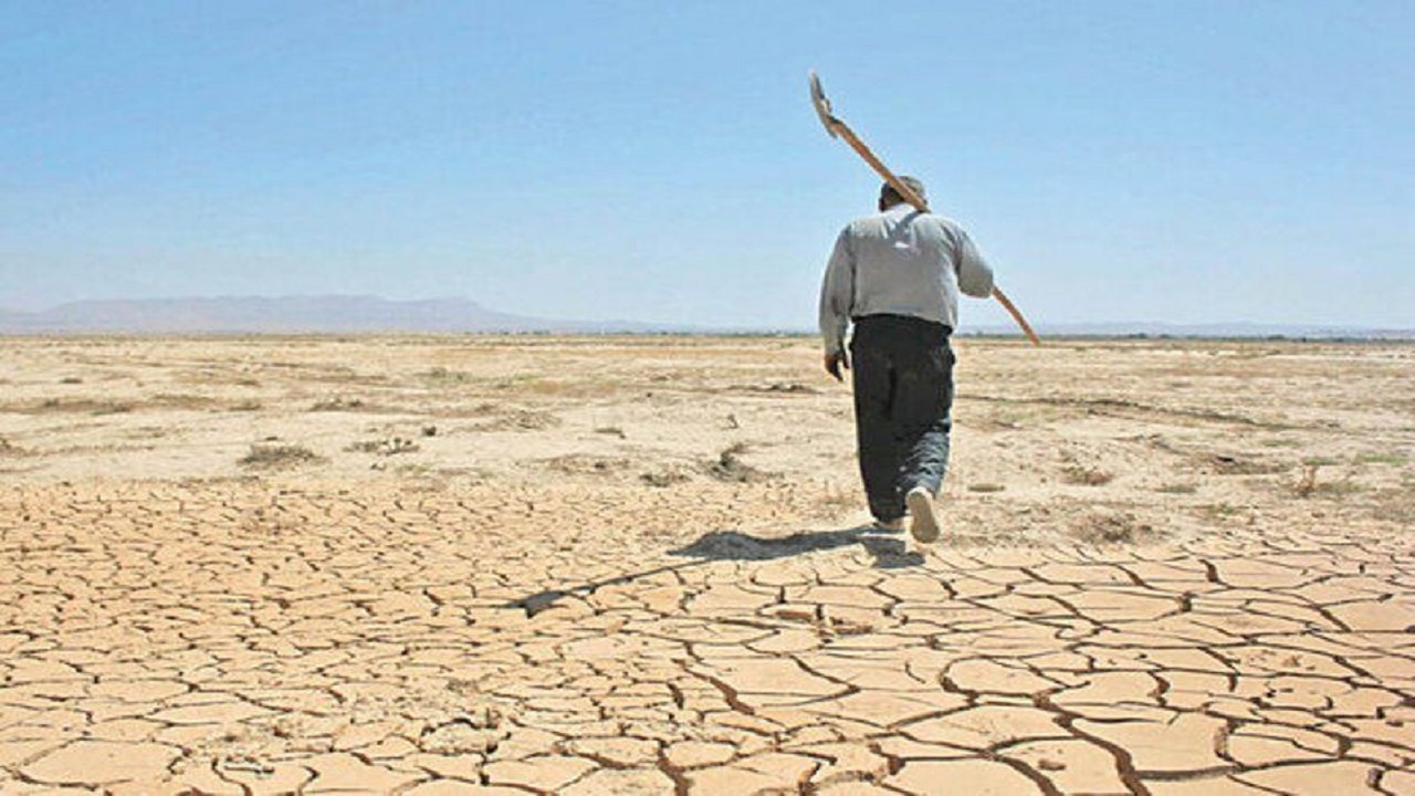 تسهیلات جبران خشکسالی به زودی به کشاورزان پرداخت می شود