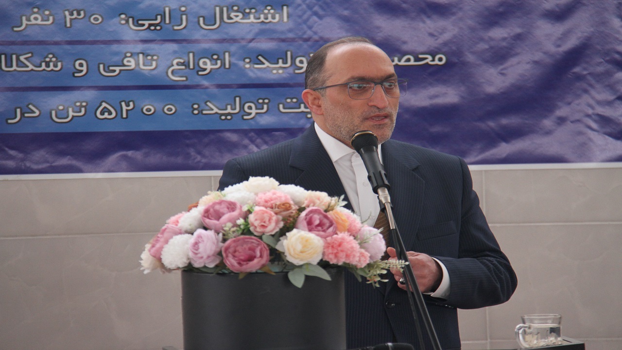 قول مساعد معاون وزیر اقتصاد در پرداخت تسهیلات به سرمایه‌گذاران/ تولیدکنندگان را تنها نمی‌گذاریم