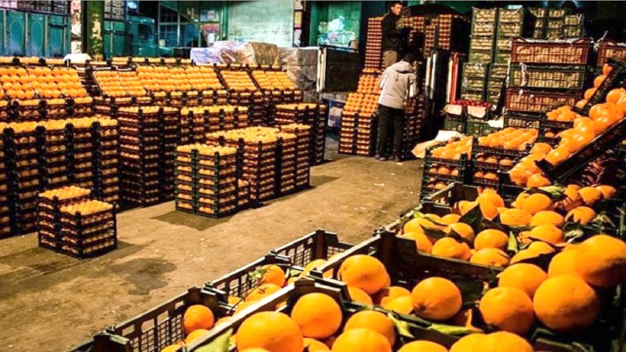 بخشی از میوه شب عید استان قزوین خریداری شده است