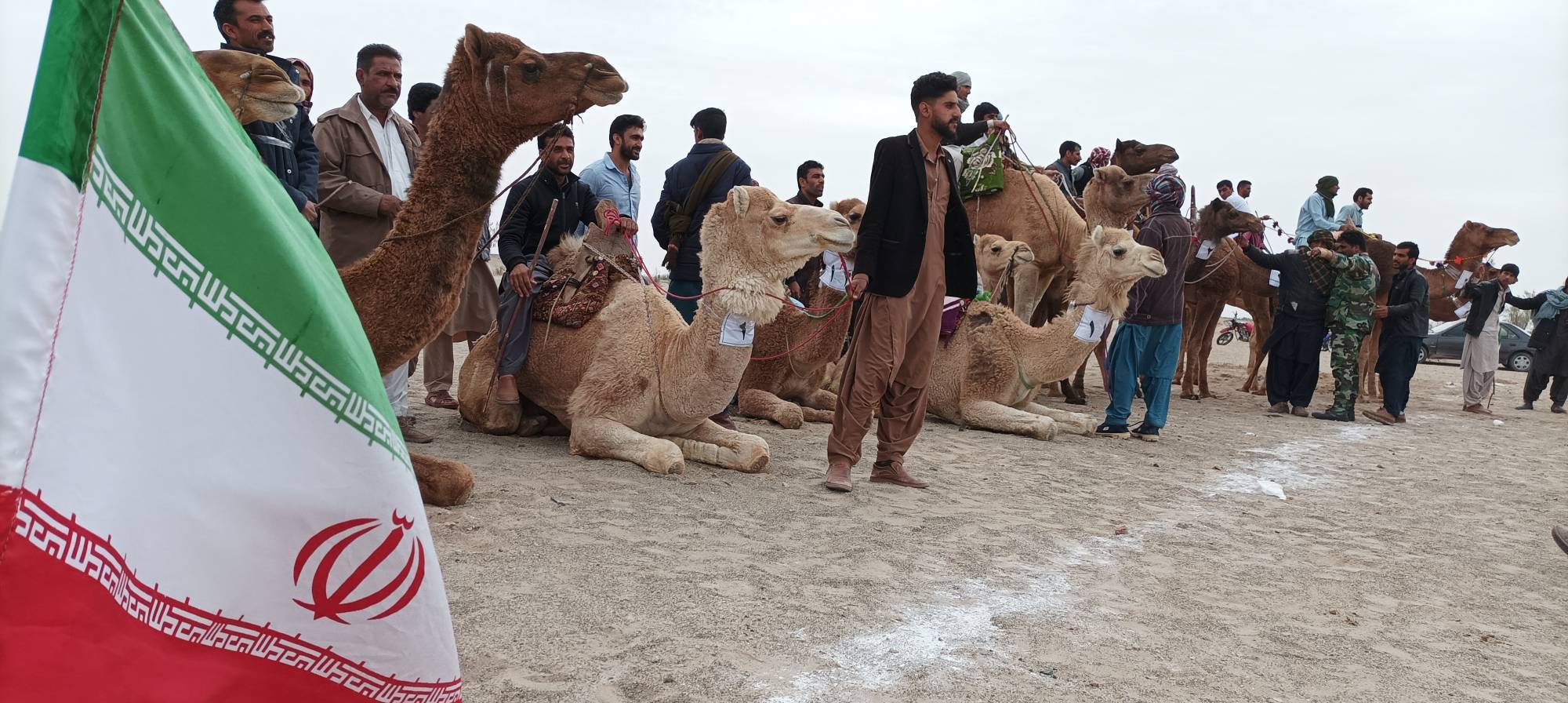 مسابقات شتر سواری جنوب شرق کشور