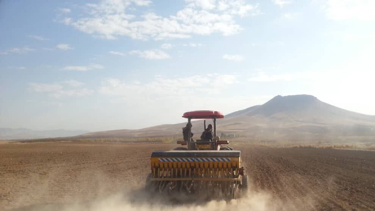 ۱۳۰ هزار هکتار از اراضی کشاورزی سیستان و بلوچستان به زیر کشت رفت