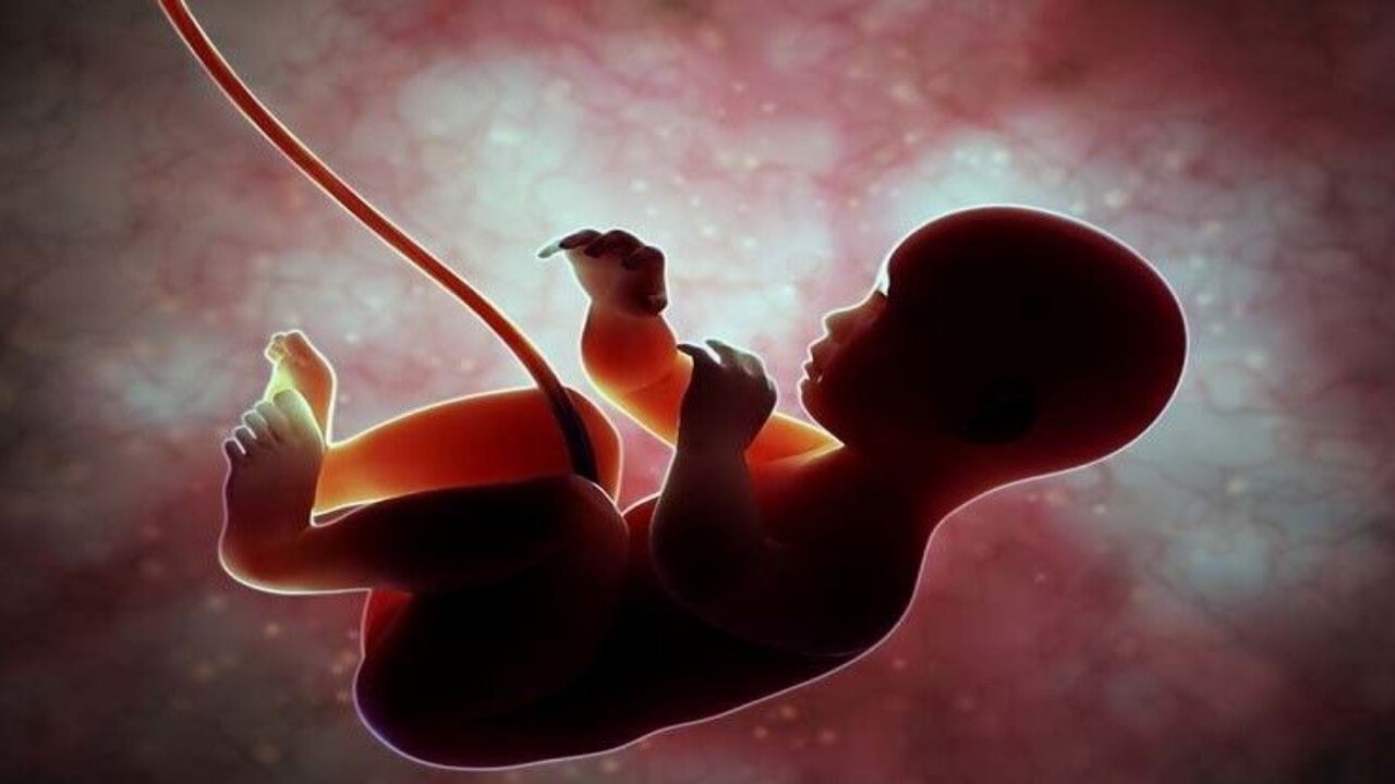 اتباع خارجی تحت پوشش خدمات مراکز نفس قرار می گیرند