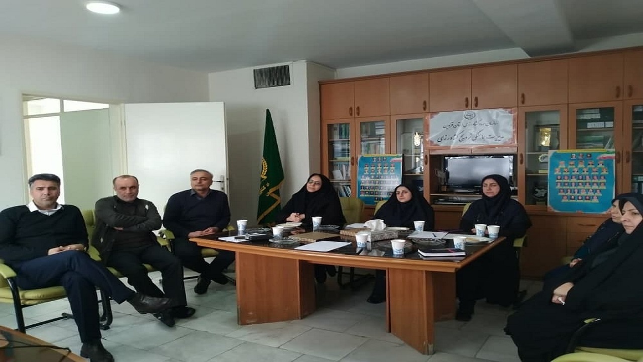 کاشت ۱۰ میلیون اصله نهال در استان قزوین
