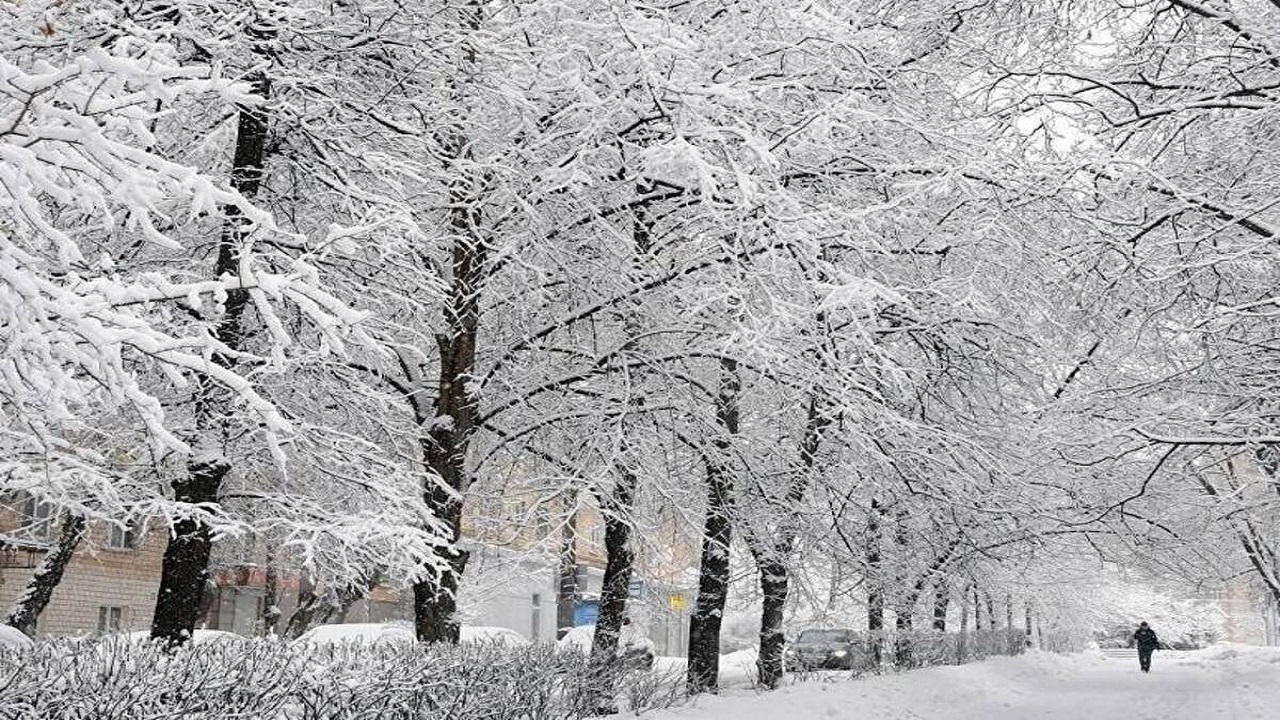 برف‎روبی جهادی طلاب همدان + فیلم