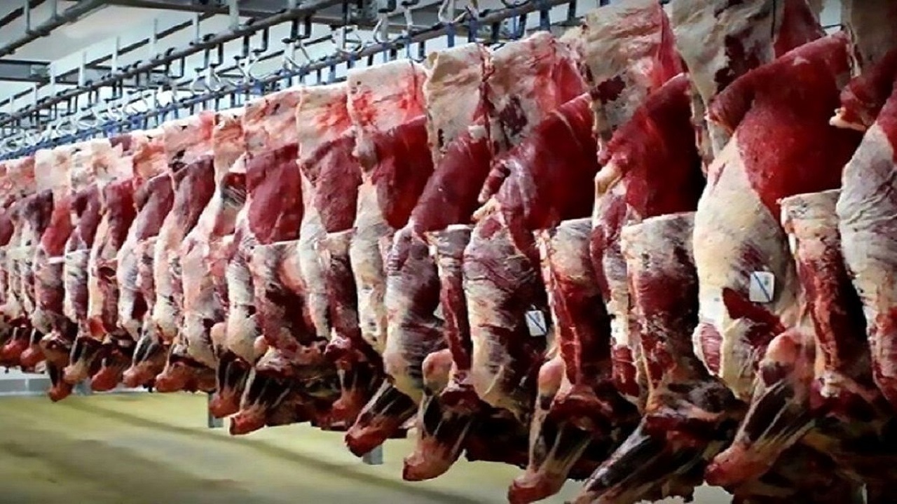 استان یزد با مشکل تامین گوشت قرمز مواجه نیست
