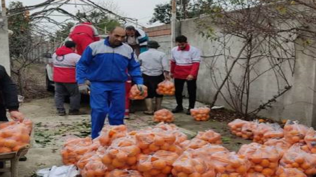 ارسال ۲ و نیم تن پرتقال، کمک داوطلب گلستانی به زلزله زدگان خوی