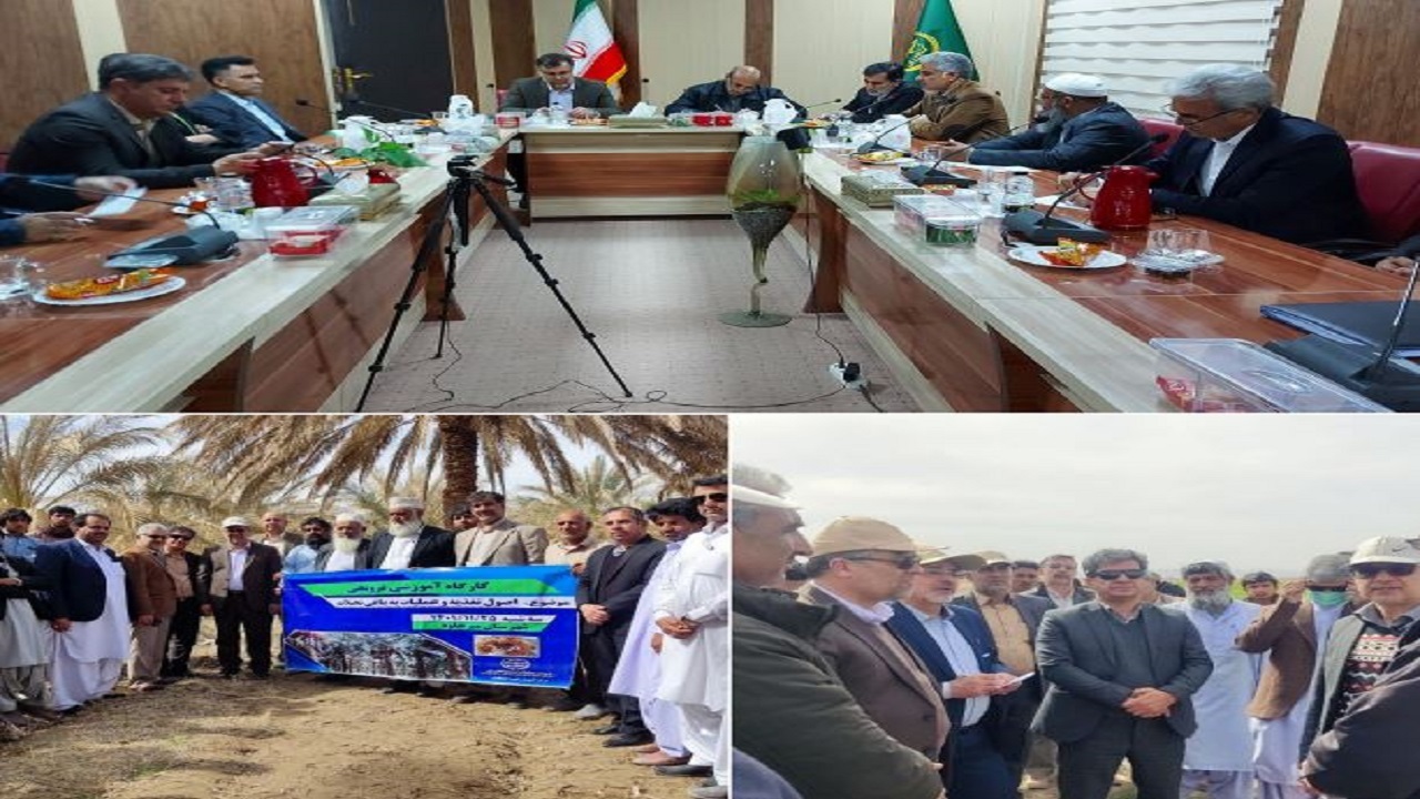 تقویت دانش فنی بهره برداران در سیستان و بلوچستان
