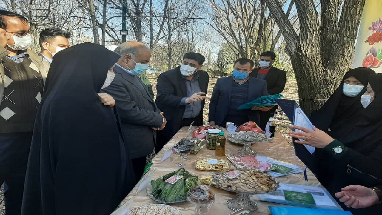 پرداخت ۱۳۲ میلیارد تومان تسهیلات اشتغالزایی روستایی و عشایری