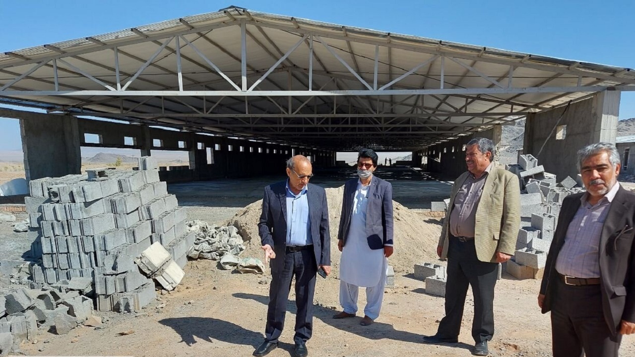 ۴۵ واحد مرغداری صنعتی در خاش در حال ساخت است