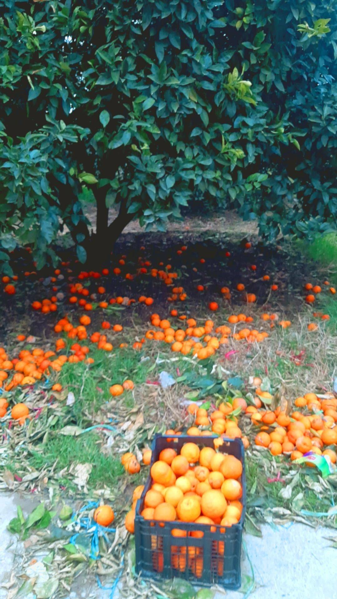 برداشت و ذخیره سازی