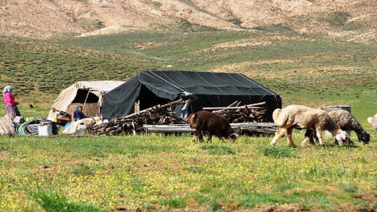 ۹۶ میلیارد تومان وام دامدار کارت به دامداران شاهرود پرداخت شد