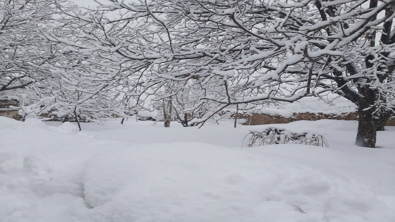 اهالی روستای چهل خانه میزبان بارش برف زمستانی شدند + فیلم و تصاویر