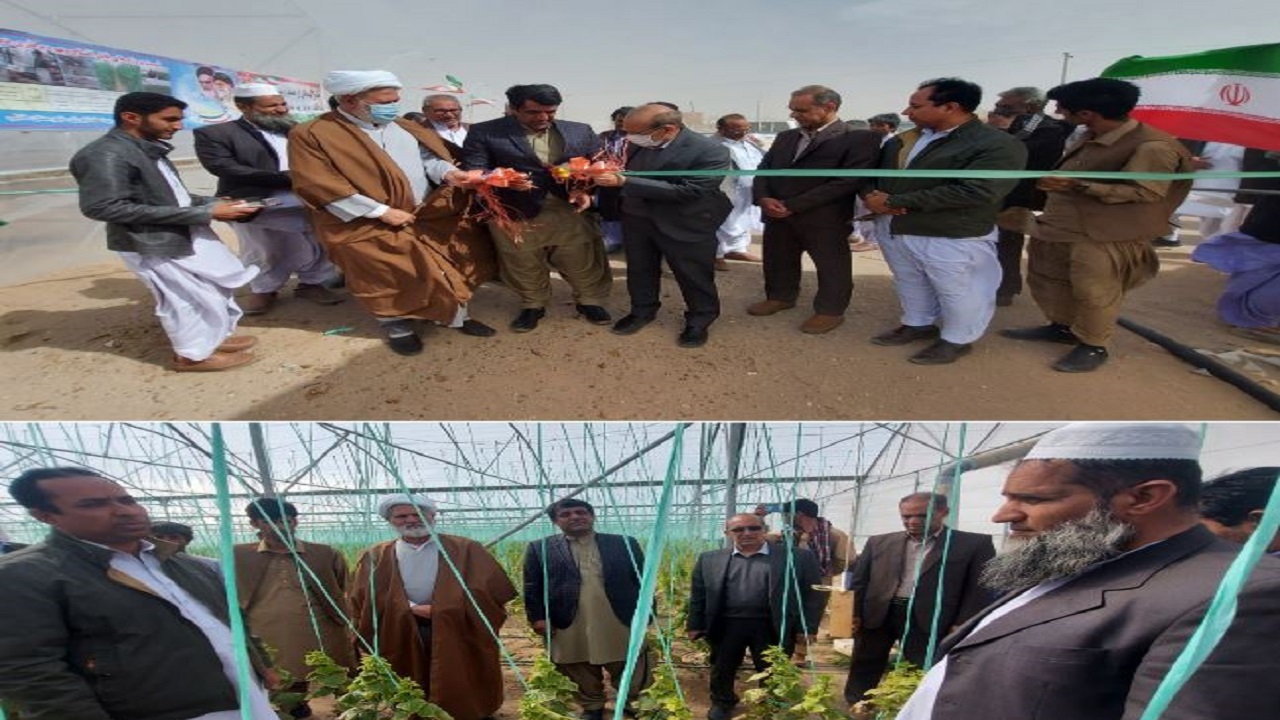 بهره‌برداری از۵۰ هکتار گلخانه جدید در سیستان وبلوچستان
