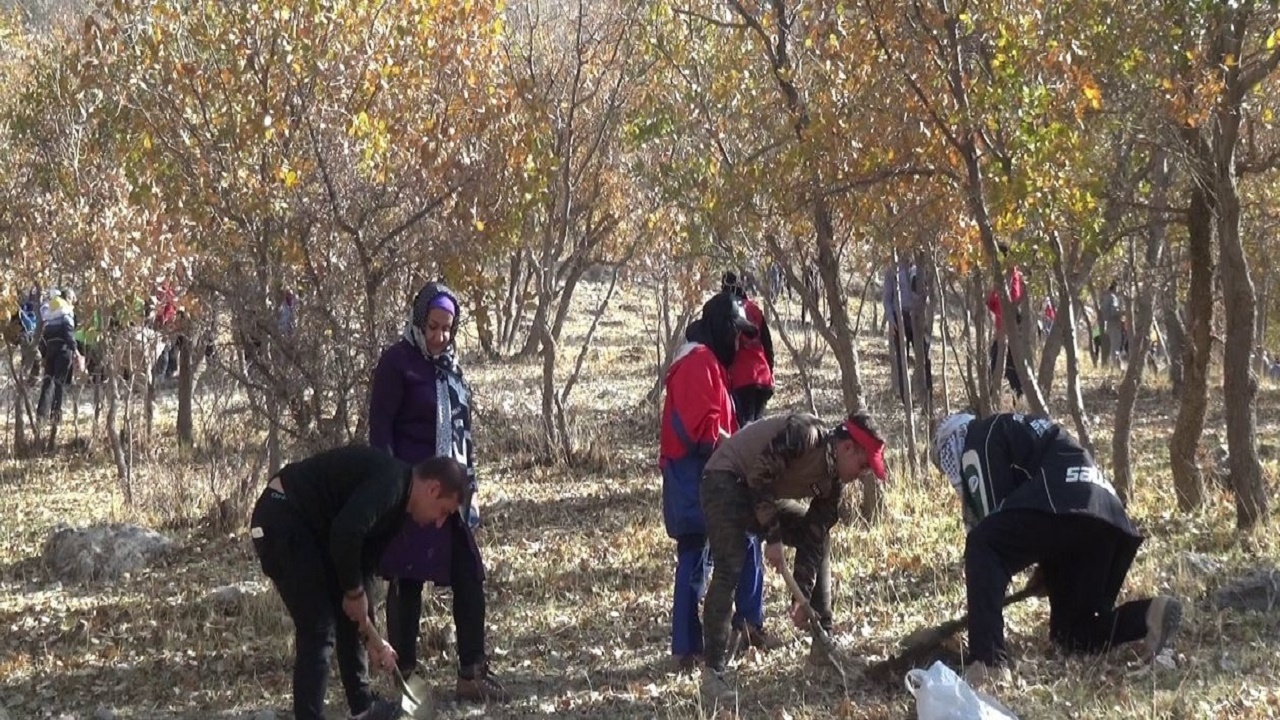 اجرای پویش همگانی بذرکاری و نهال کاری گچساران